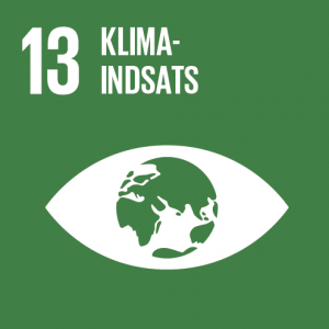 Verdensmål 13: Klimaindsats