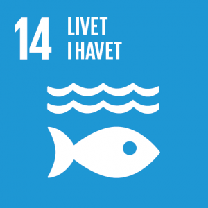 Verdensmål 14: Livet i havet