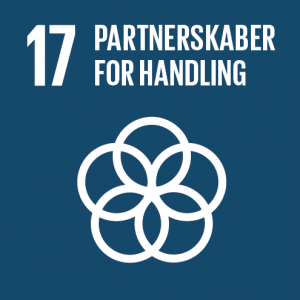 Verdensmål 17: Partnerskaber for handling