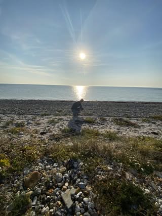 Bellevue / Såne