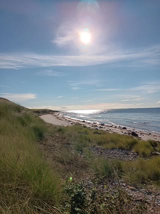 Tyvsbjerg